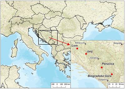 Old-growth forests in the Dinaric Alps of Bosnia-Herzegovina and Montenegro: a continental hot-spot for research and biodiversity